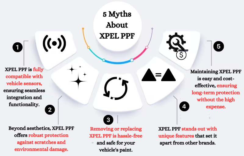 5 Myths About XPEL Paint Protection Film Debunked — LuxTint LLC